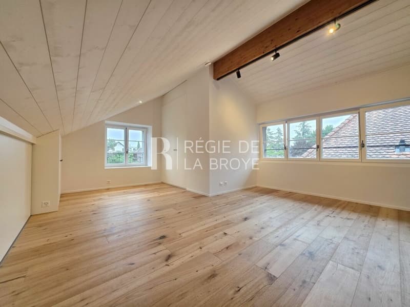 Spacieux 3,5 pièces dans les combles (4)