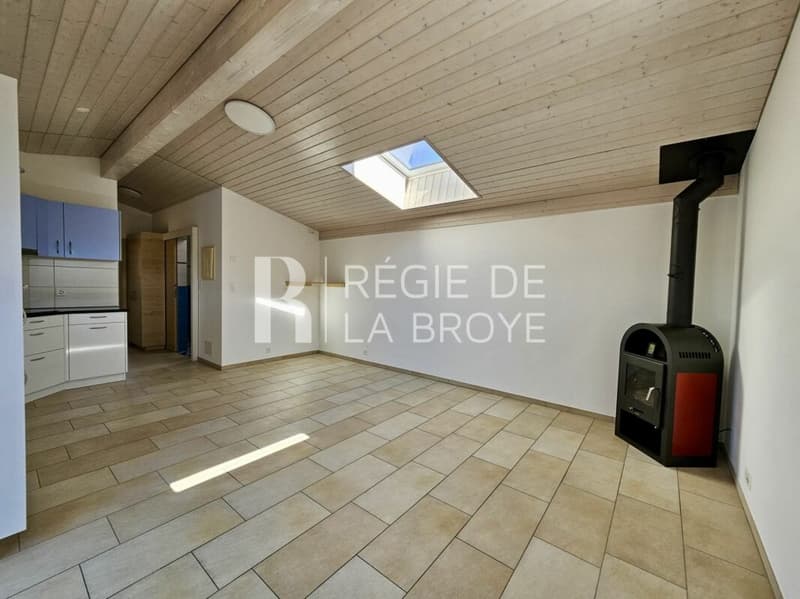 Appartement de 2.5 pièce au rez à Estavayer-le-Lac (2)