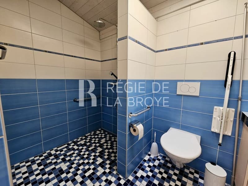 Appartement de 2.5 pièce au rez à Estavayer-le-Lac (6)
