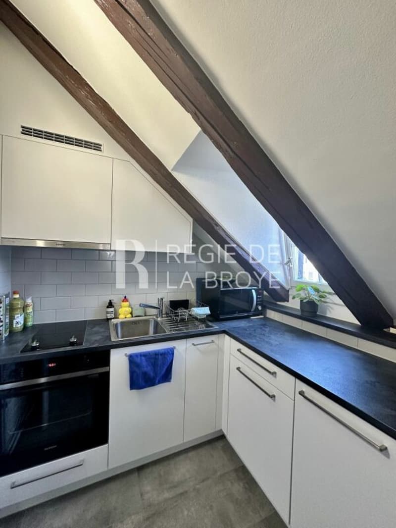 Appartement de 1.5 pièces à Estavayer-le-Lac (2)