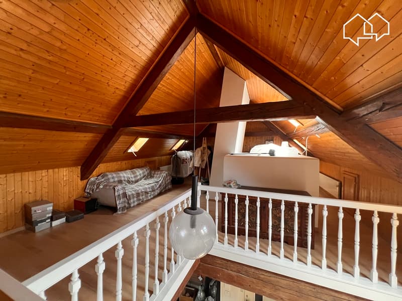 Spacieux appartement dans les combles avec terrasse (11)
