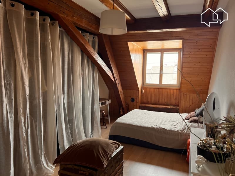 Spacieux appartement dans les combles avec terrasse (5)