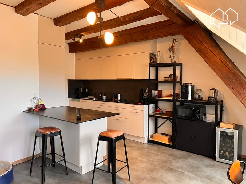 Spacieux appartement dans les combles avec terrasse (3)