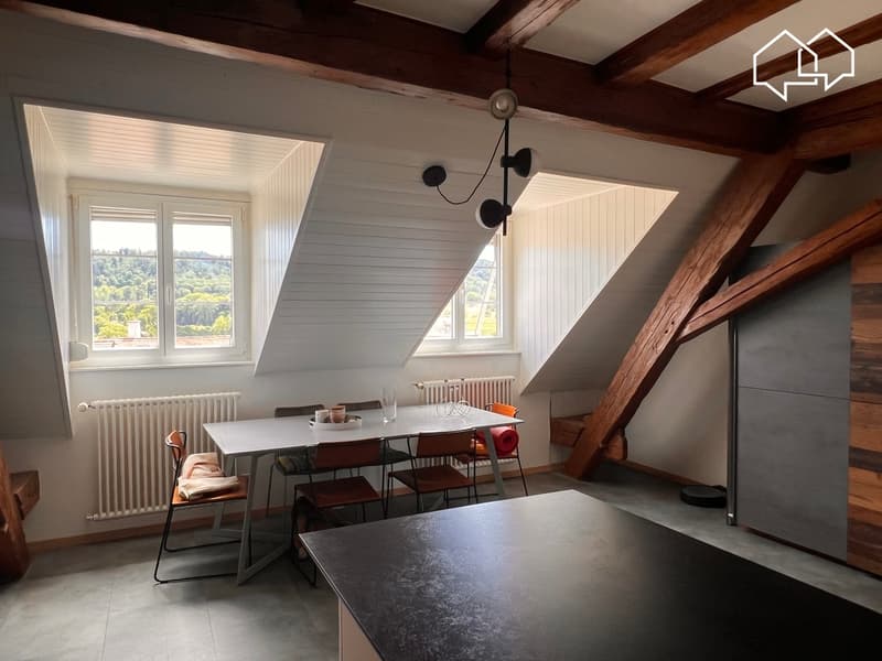 Spacieux appartement dans les combles avec terrasse (4)