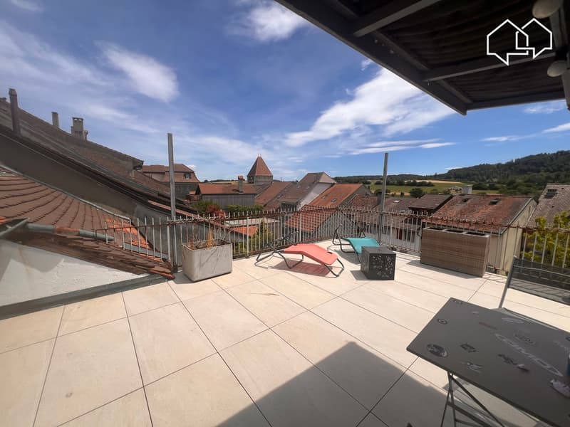 Spacieux appartement dans les combles avec terrasse (8)