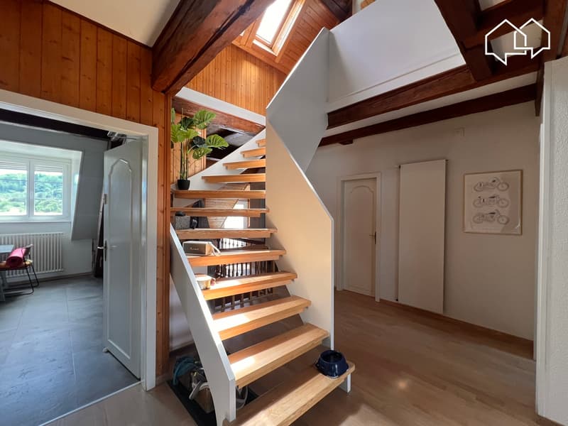 Spacieux appartement dans les combles avec terrasse (9)