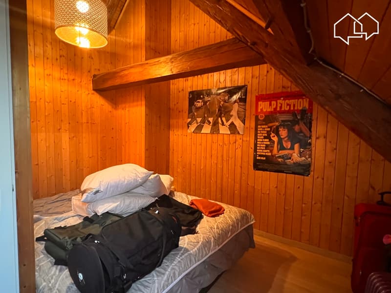 Spacieux appartement dans les combles avec terrasse (12)