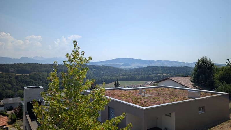 Le Balkon (12)
