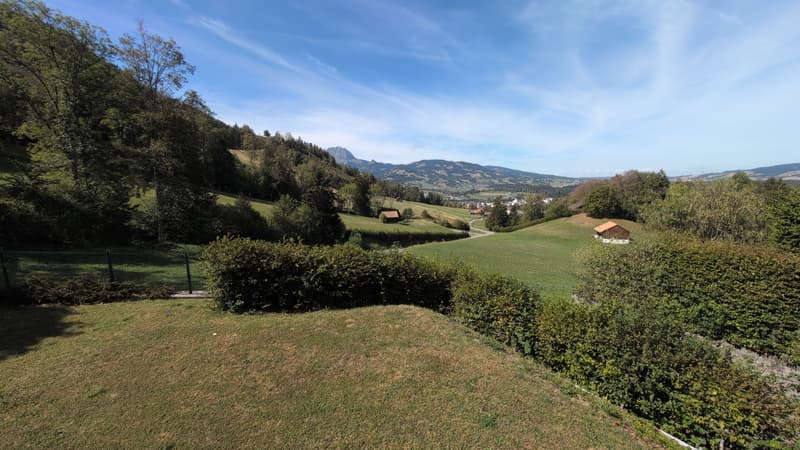 Oasis - La nature dans toute sa splendeur ! (11)