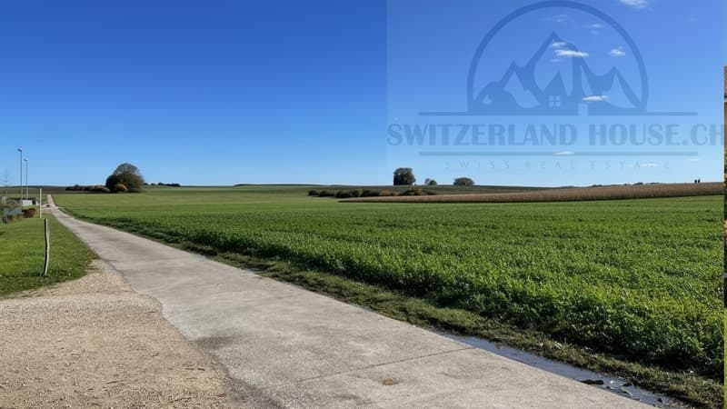Splendide ville individuali vicino al lago e alle comodità a Gletterens (8)