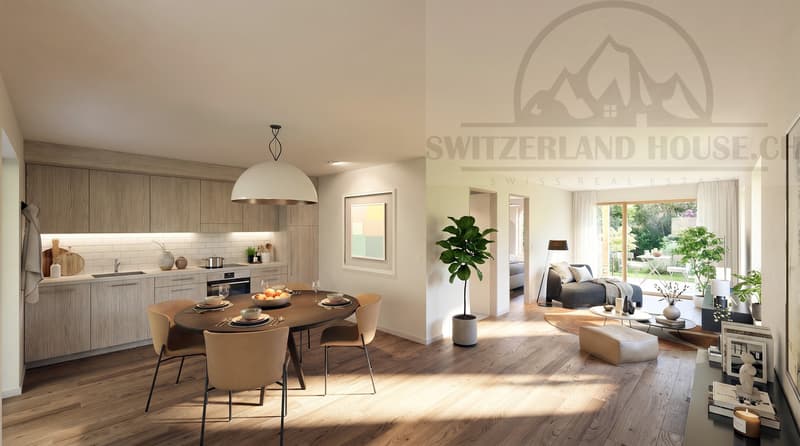 Magnificent 2.5 rooms close to Sarine in the lower town of Fribourg (4)
