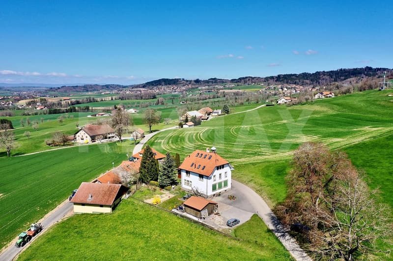 Edificio con 3 appartamenti in campagna (1)