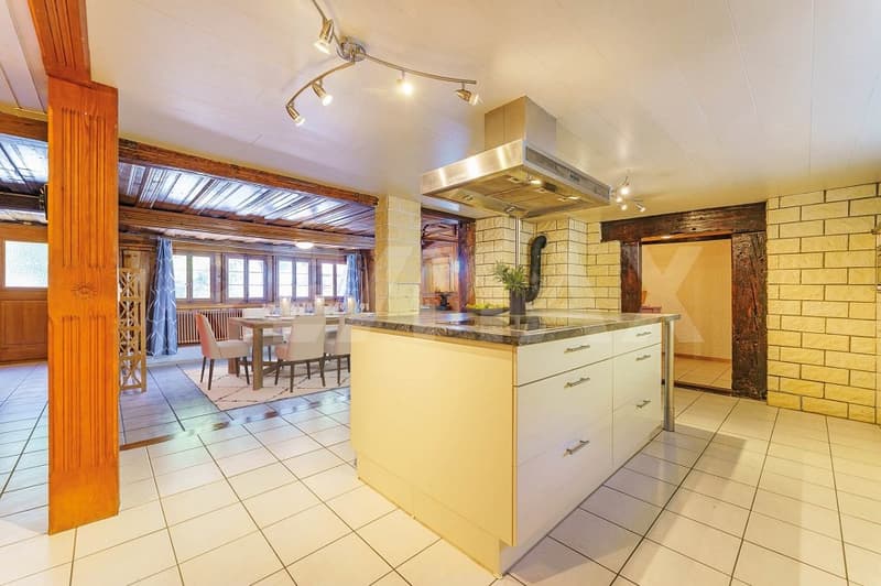 Maison avec deux appartements (3)