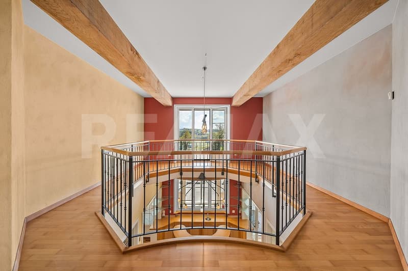 Exceptional house 13 rooms on 400 m² living space (11)