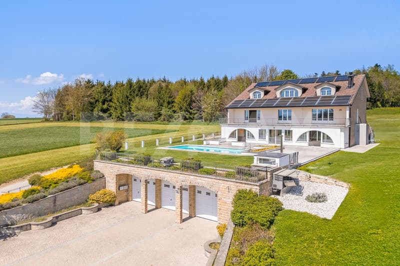 Exceptional house 13 rooms on 400 m² living space (2)