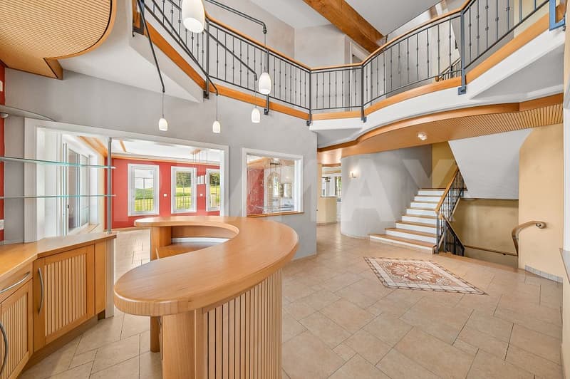 Exceptional house 13 rooms on 400 m² living space (6)
