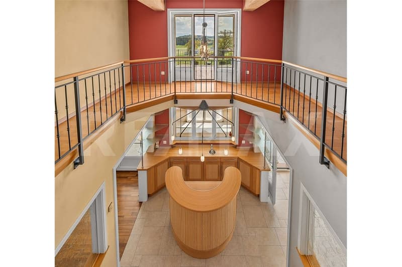 Exceptional house 13 rooms on 400 m² living space (10)