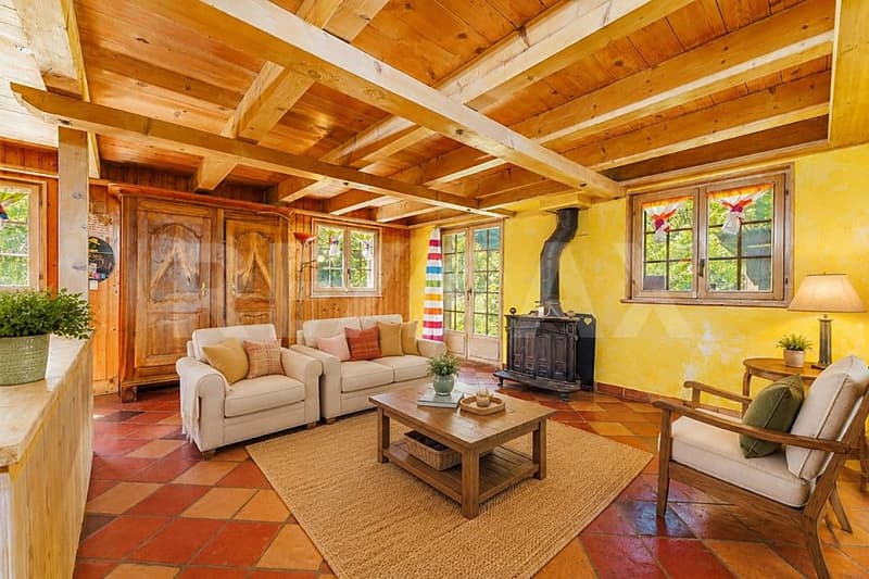 Un petit paradis entre lac et nature : maison de 3 appartements (1)