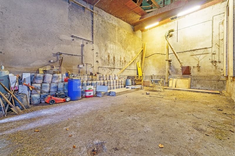 Mästschweinefarm: 600 Plätze für Mastschweine (11)