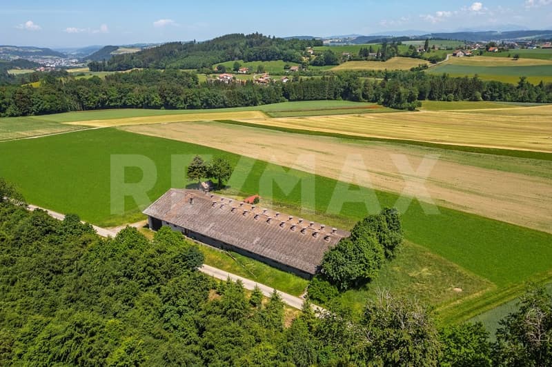 Mästschweinefarm: 600 Plätze für Mastschweine (2)