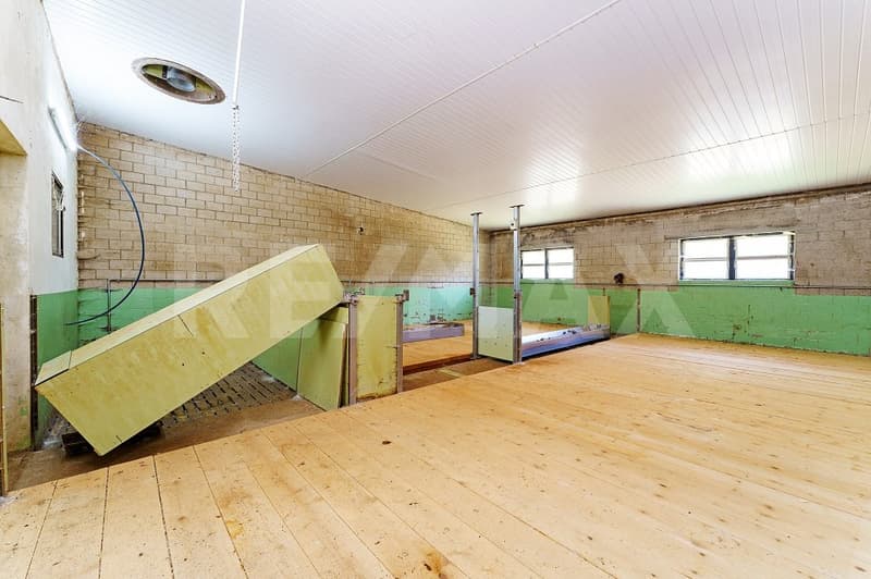 Mästschweinefarm: 600 Plätze für Mastschweine (12)