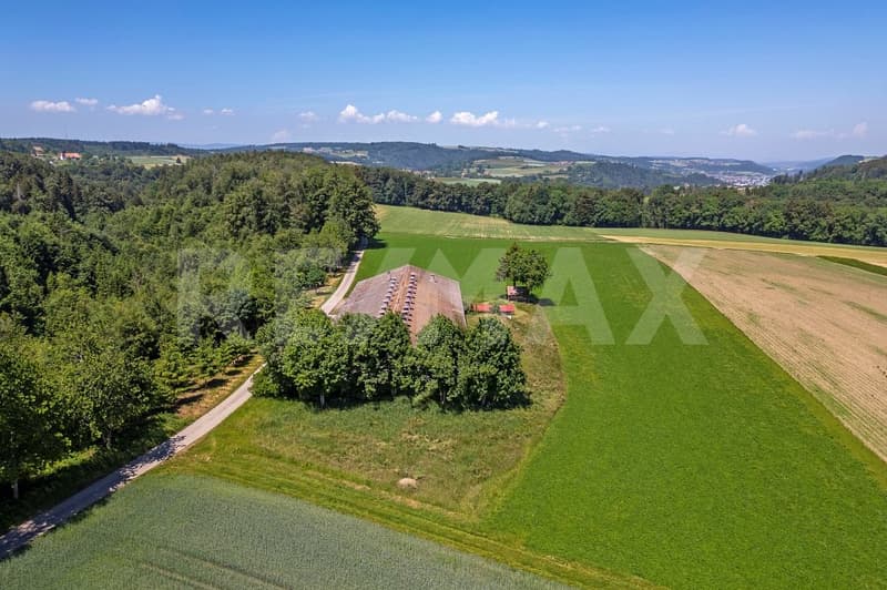 Mästschweinefarm: 600 Plätze für Mastschweine (3)
