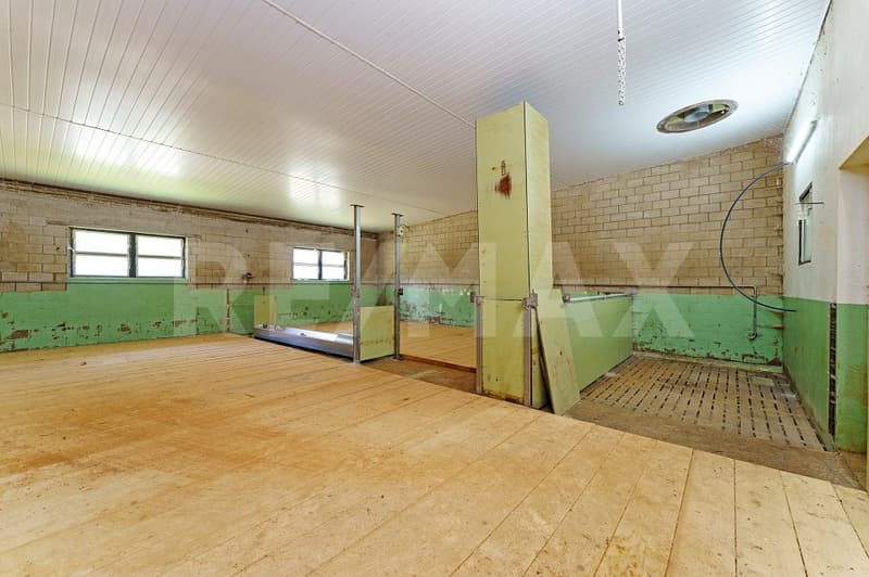 Mästschweinefarm: 600 Plätze für Mastschweine (13)