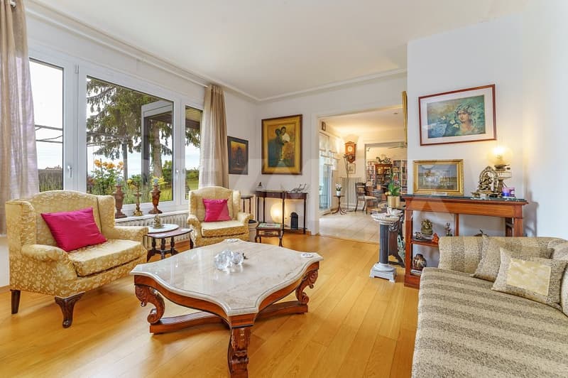 Avec magnifique villa, grande parcelle constructible (3)