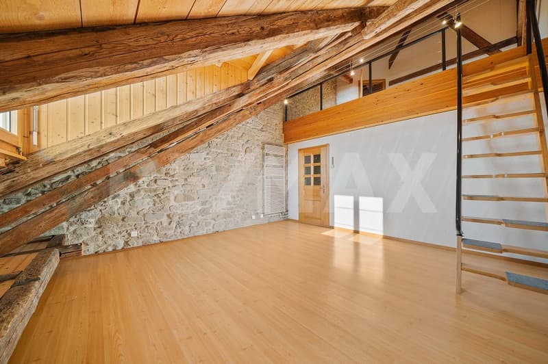 Maison de ville, 285 m² habitables (13)