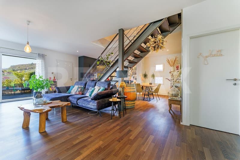 Appartement atypique de 127 m2 habitable avec terrasse (3)