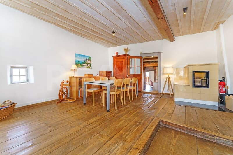 Incroyable maison rénovée avec 267 m2 utile (6)