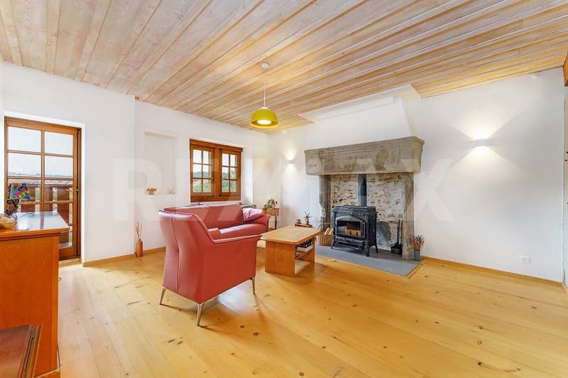 Incroyable maison rénovée avec 267 m2 utile (5)