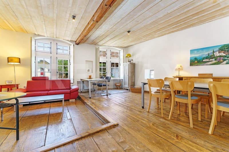 Incroyable maison rénovée avec 267 m2 utile (4)