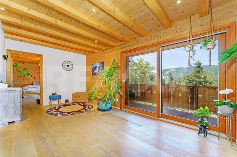 Ein 4.5-Zimmer-Apartment, in dem sich das Innere natürlich nach außen erstreckt (2)