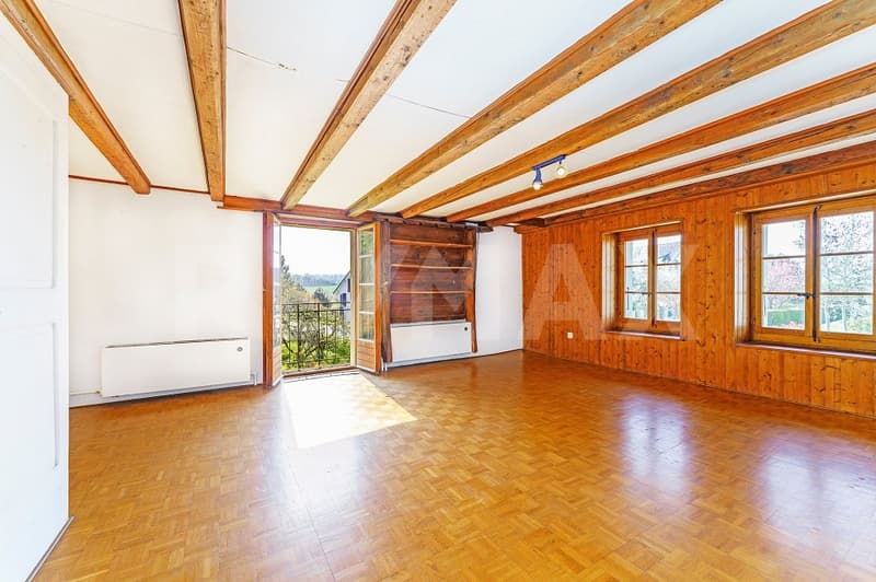 Casa del 1750: ambiente bucolico e tranquillo, da ristrutturare (6)