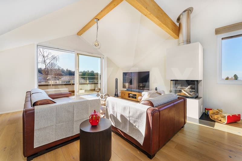 Dans PPE de standing, 4,5 pièces, vaste séjour, hauts plafonds, terrasse sud et jardin arboré (3)