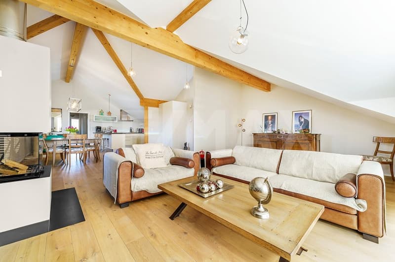 Dans PPE de standing, 4,5 pièces, vaste séjour, hauts plafonds, terrasse sud et jardin arboré (2)