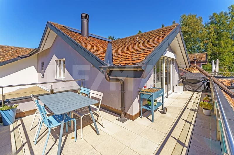 Dans PPE de standing, 4,5 pièces, vaste séjour, hauts plafonds, terrasse sud et jardin arboré (6)