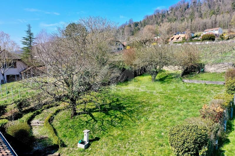 Maison de caractère entre vignes et lac, proche de Nyon (6)