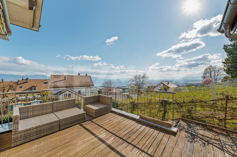 Maison de caractère entre vignes et lac, proche de Nyon (9)