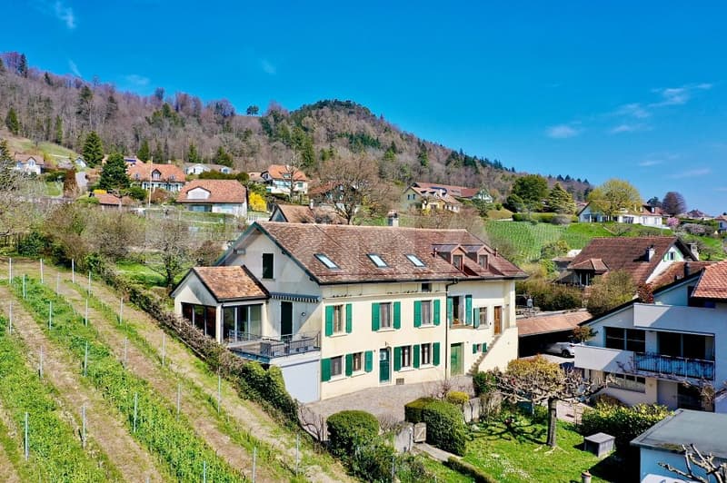 Maison de caractère entre vignes et lac, proche de Nyon (1)