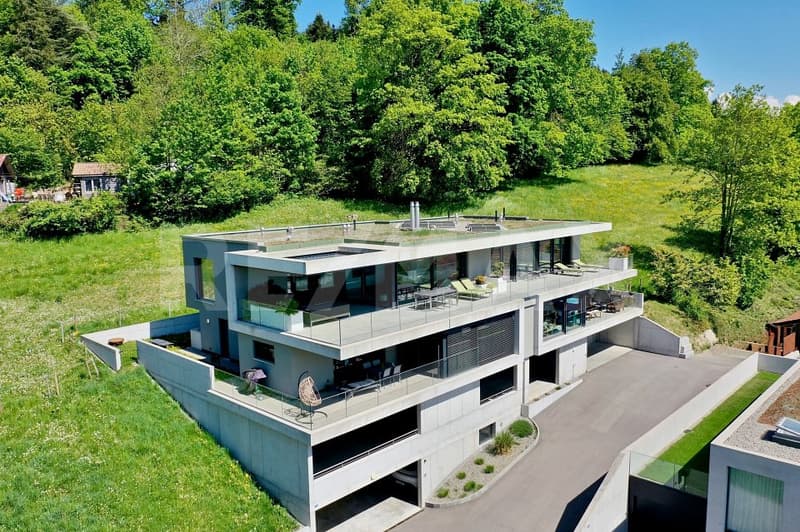 Attique dexception de 200 m² avec vue panoramique (1)