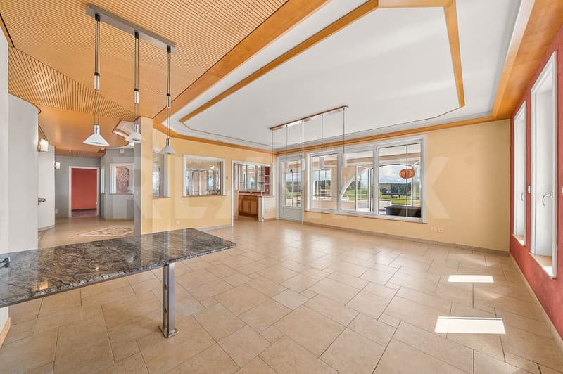 Élégante propriété avec 2 habitations indépendantes et piscine (6)