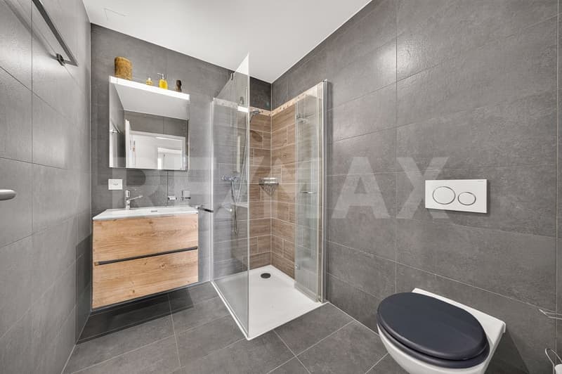 Spacieux 4,5 pièces dans un immeuble Minergie (12)