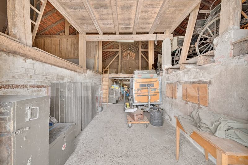 Une ferme, 8'482 m² de terrain et mille possibilités (13)