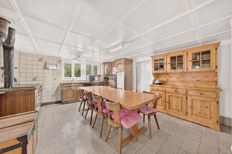 Une ferme, 8'482 m² de terrain et mille possibilités (3)