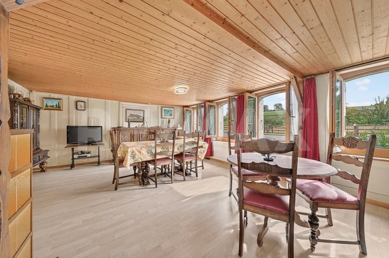 Une ferme, 8'482 m² de terrain et mille possibilités (6)