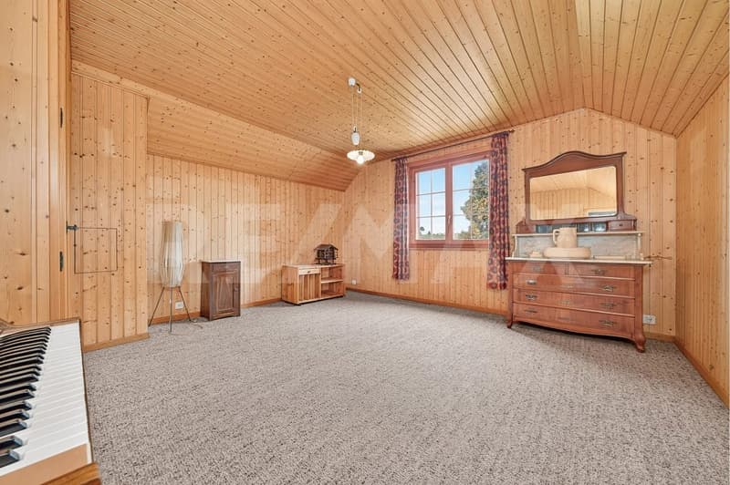 Une ferme, 8'482 m² de terrain et mille possibilités (9)