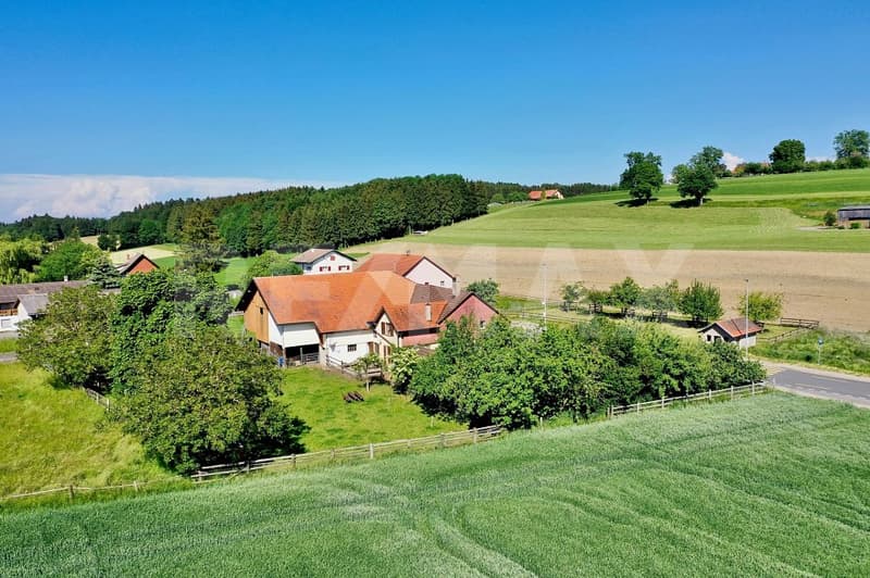 Une ferme, 8'482 m² de terrain et mille possibilités (2)