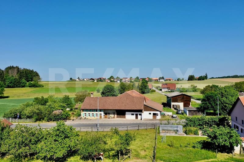 Une ferme, 8'482 m² de terrain et mille possibilités (1)